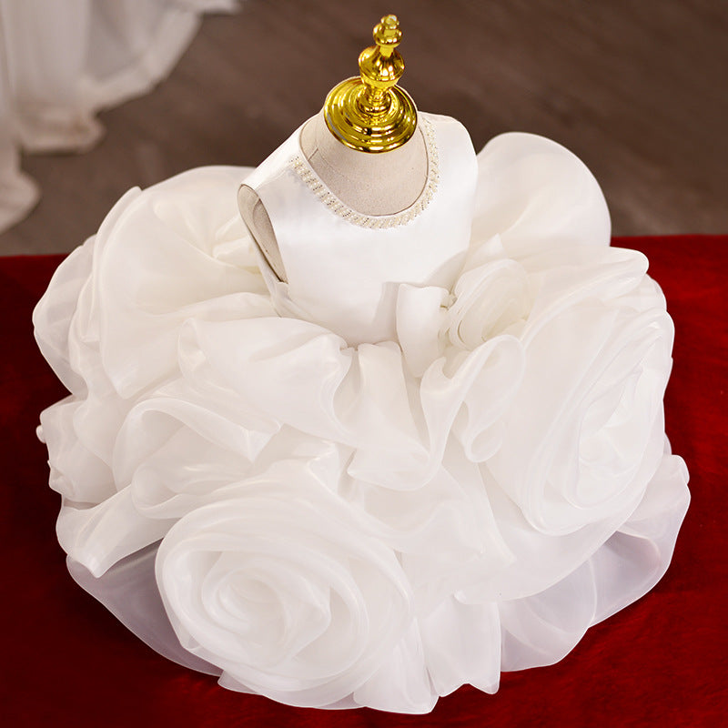Organza Embroidered A-line Party Dress for Girls | Flower Girl Princess Dress