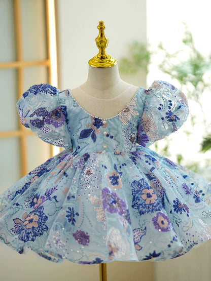 Blue Sequin Princess Ball Gown Flower Girl Dress for Special Occasions