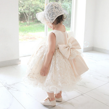 Champagne Lace A-Line Party Dress for Toddler Girls – Princess Flower Girl Dress
