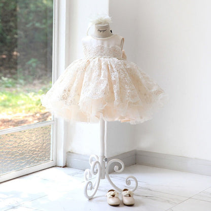 Champagne Lace A-Line Party Dress for Toddler Girls – Princess Flower Girl Dress