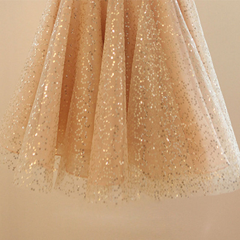 Champagne Sequin Princess Dress for Girls | Party & Flower Girl Dress