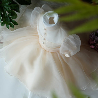 Champagne Tulle A-Line Illusion Flower Girl Dress – Puff Sleeve Princess Party Outfit