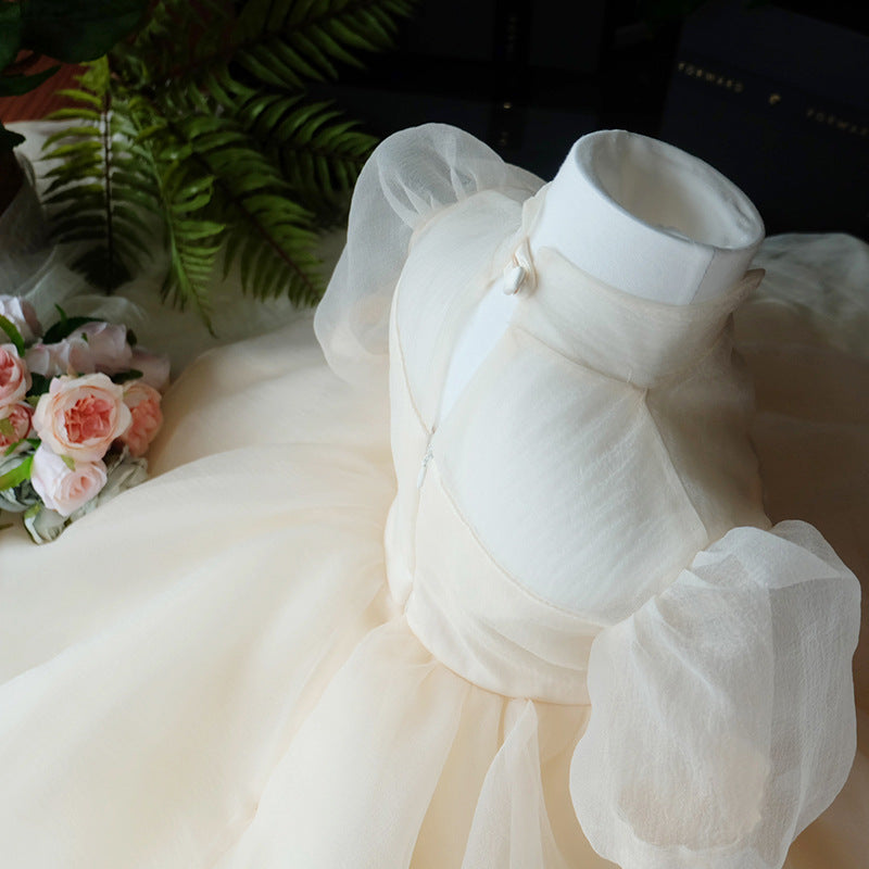 Champagne Tulle A-Line Illusion Flower Girl Dress – Puff Sleeve Princess Party Outfit