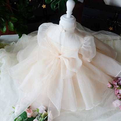 Champagne Tulle A-Line Illusion Flower Girl Dress – Puff Sleeve Princess Party Outfit