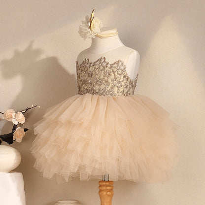 Champagne A-Line Tulle Flower Girl Dress with Lace for Toddlers – Princess Birthday Party Dress
