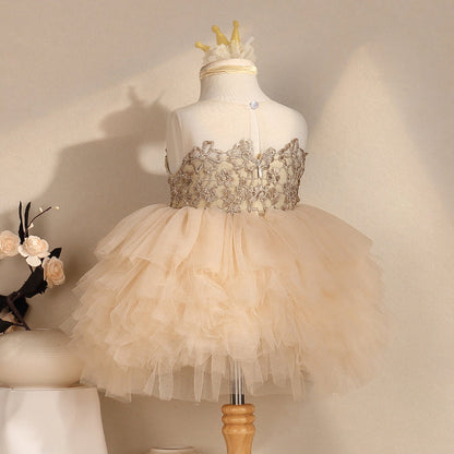 Champagne A-Line Tulle Flower Girl Dress with Lace for Toddlers – Princess Birthday Party Dress