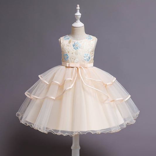 Embroidered Tulle Princess Dress – A-Line Girl's Party Dress (2-10 Years)