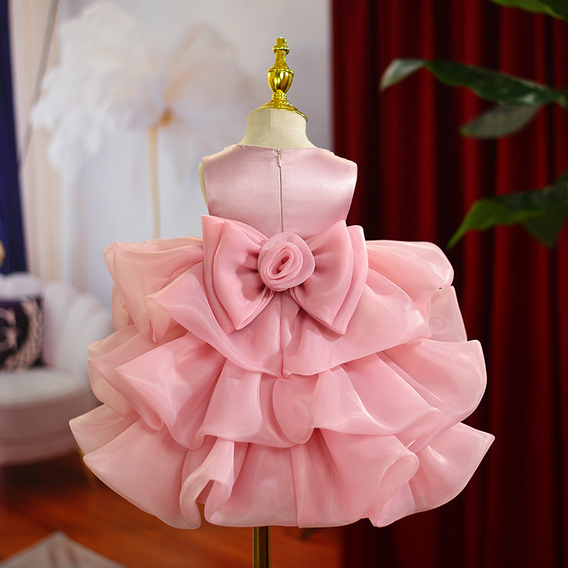 Organza Embroidered A-line Party Dress for Girls | Flower Girl Princess Dress