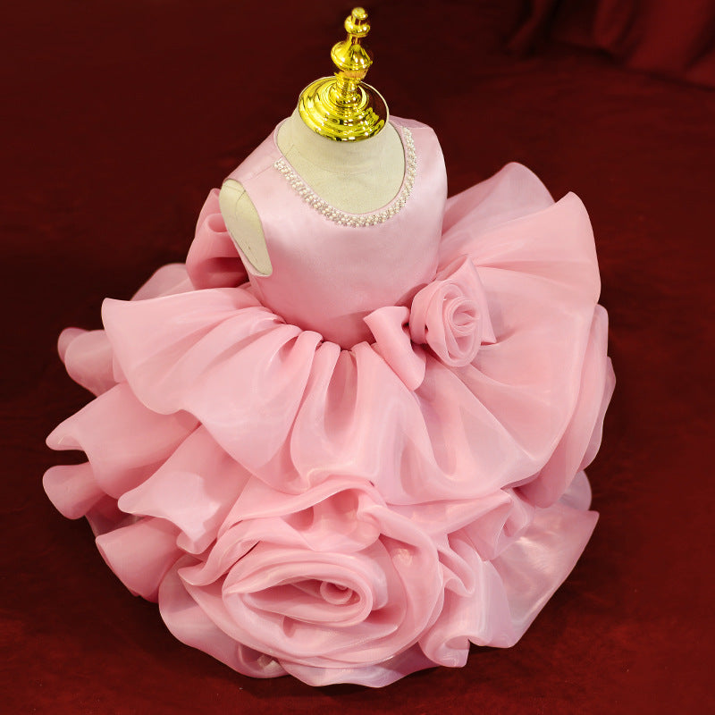 Organza Embroidered A-line Party Dress for Girls | Flower Girl Princess Dress