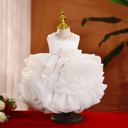 Organza Embroidered A-line Party Dress for Girls | Flower Girl Princess Dress