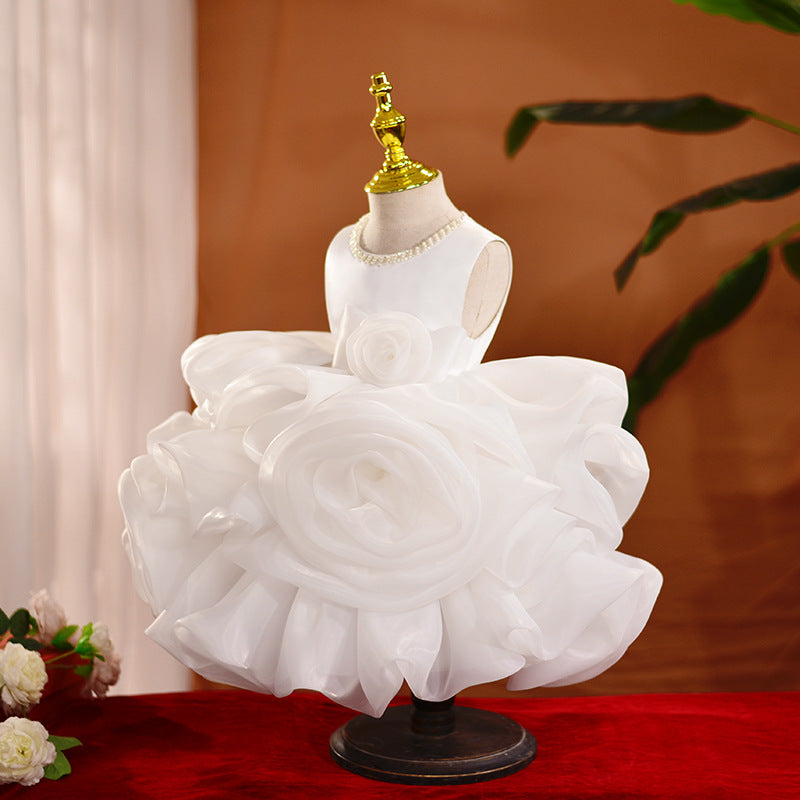 Organza Embroidered A-line Party Dress for Girls | Flower Girl Princess Dress