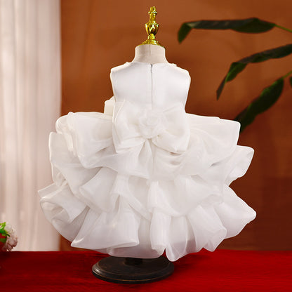 Organza Embroidered A-line Party Dress for Girls | Flower Girl Princess Dress